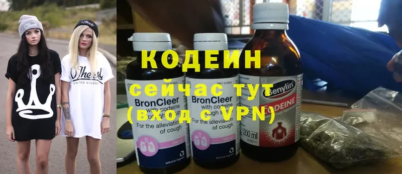 Кодеин напиток Lean (лин)  купить закладку  блэк спрут маркетплейс  Каменка 